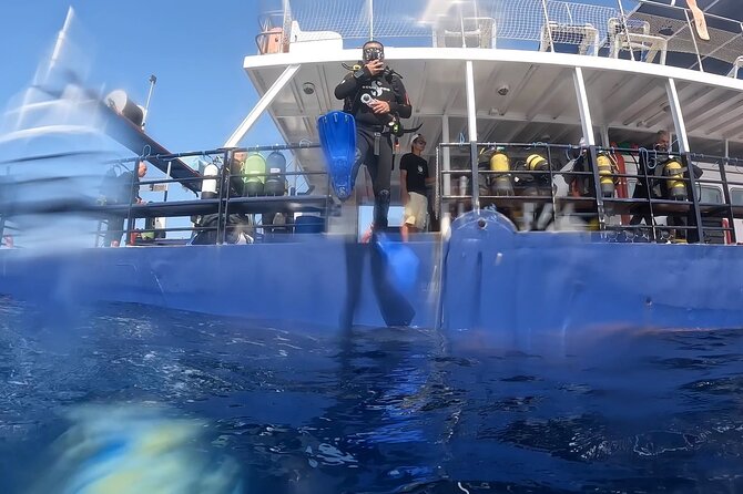 World-Class Zenobia Wreck Dive in Cyprus x 2 dives - The 6:30 am meeting in Pissouri
