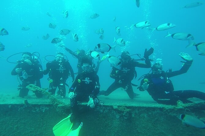 World-Class Zenobia Wreck Dive in Cyprus x 2 dives - Session one: exploring the Zenobia stern