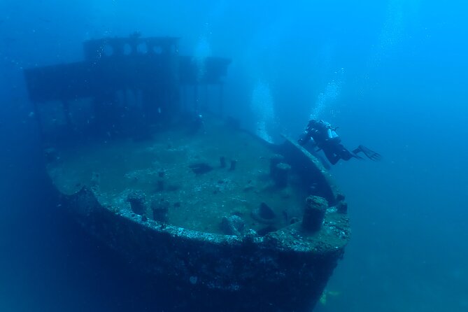Wreck and Bridge Span Dive for Certified Divers - Key points to know before booking