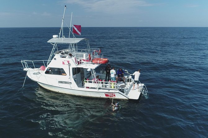 Wreck and Bridge Span Dive for Certified Divers - The shipwreck: the stronger of the two stops