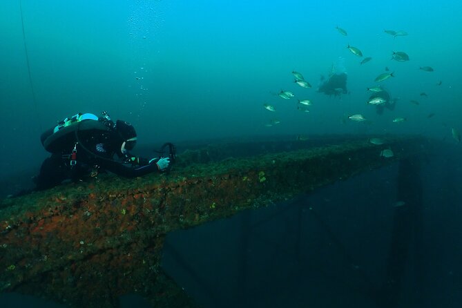 Wreck and Bridge Span Dive for Certified Divers - The bridge span: a different kind of underwater view