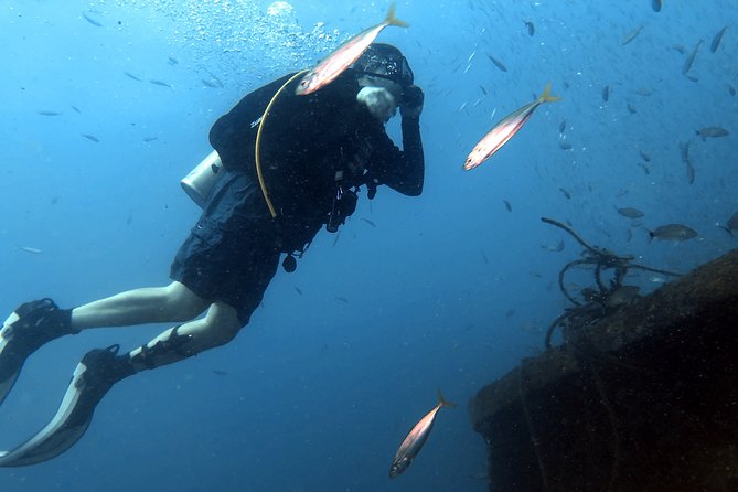 Wreck and Bridge Span Dive for Certified Divers - Safety comes before sightseeing