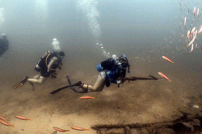 Wreck and Bridge Span Dive for Certified Divers - Conditions, visibility, and what to pack