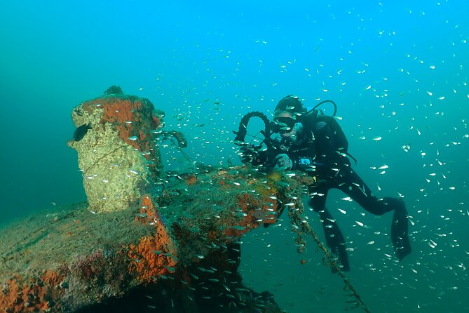 Wreck and Bridge Span Dive for Certified Divers - Is $115.36 a fair price?