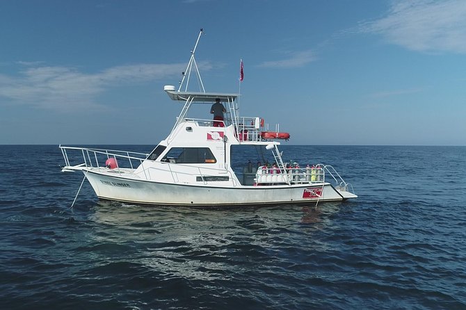 Wreck and Bridge Span Dive for Certified Divers - Who will enjoy this charter most?
