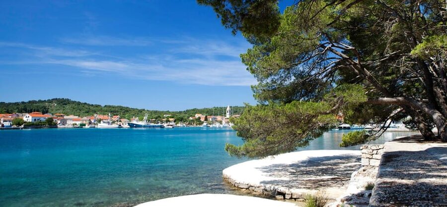 Zadar: Sakarun Beach & Dugi Island Speedboat Tour w/Diving - The pine-shaded cove and ancient oil mill